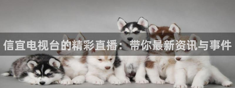 咪咕视频体育免费篮球现场直播：信宜电视台的精彩直播：带你最新资讯与事件