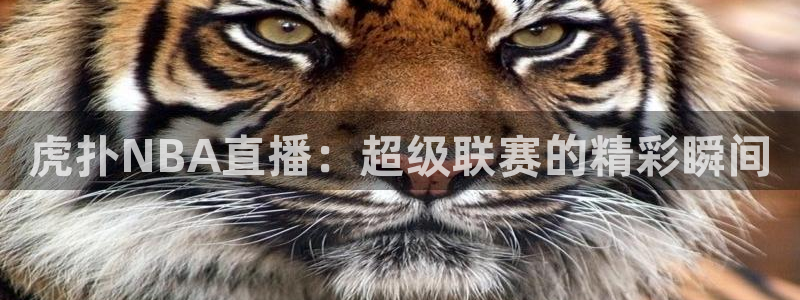 咪咕视频体育免费篮球现场直播：虎扑NBA直播：超级联赛的精彩瞬间