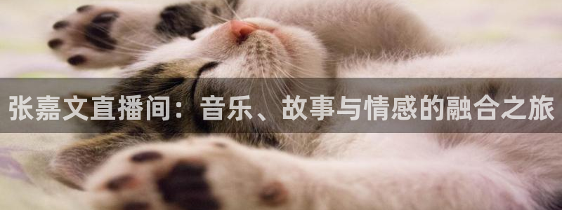 咪咕咪咕体育直播：张嘉文直播间：音乐、故事与情感的融合之旅