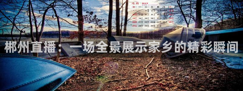 咪咕高清免费直播：郴州直播：一场全景展示家乡的精彩瞬间